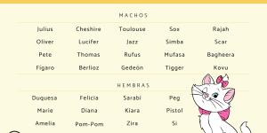 Nombres para gatos de Disney