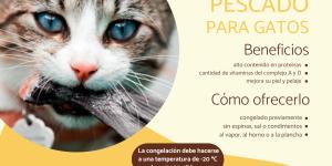 ¿Los gatos pueden comer pescado?