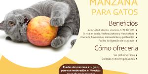 ¿Los gatos pueden comer manzana?