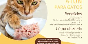 ¿Los gatos pueden comer atún?