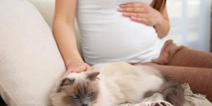 Estoy embarazada y mi gato no se me despega, ¿qué significa?