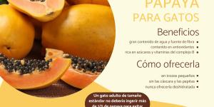 ¿Los gatos pueden comer papaya?