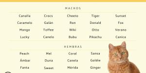 Nombres para gatos naranjas