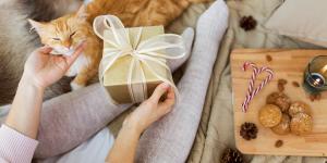 Cuáles son los mejores regalos para gatos de Navidad