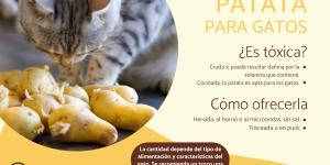 ¿Los gatos pueden comer patata?